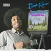 Lewcid. - Bob Ross - Single